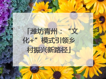潍坊青州：“文化+”模式引领乡村振兴新路径